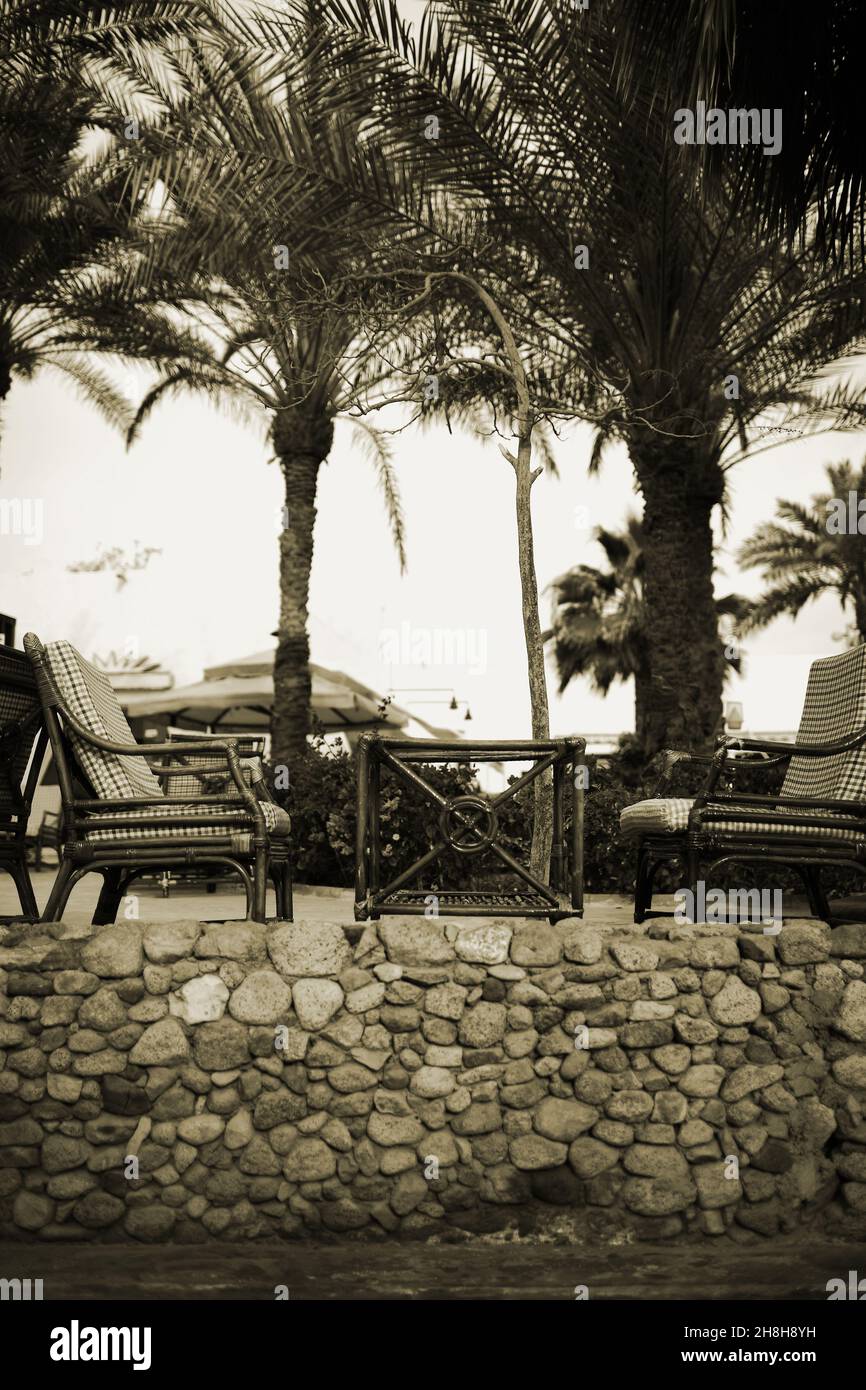Table basse en osier et fauteuils sur le patio en pierre entouré de palmiers. Banque D'Images