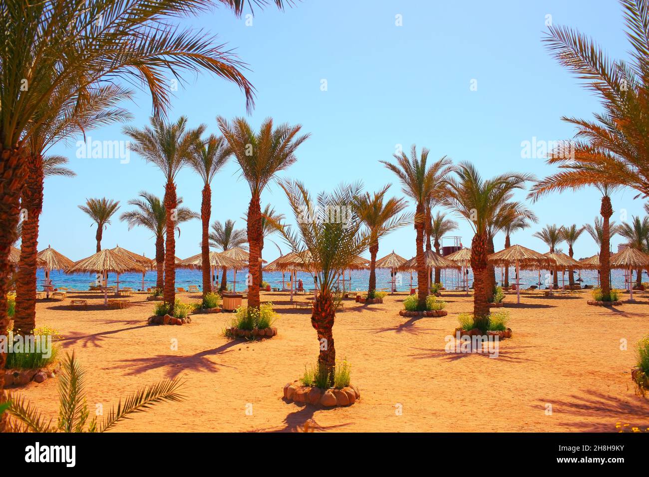 Vue sur la plage de la mer avec des palmiers et des parasols en branches de palmiers sèches. Banque D'Images