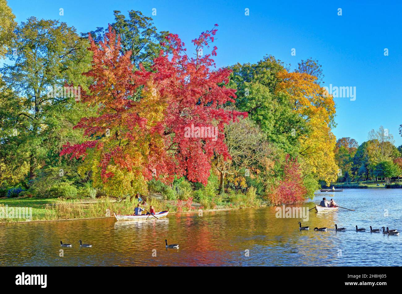 France, Paris, Bois de Vincennes, Lac Daumesnil en automne Banque D'Images