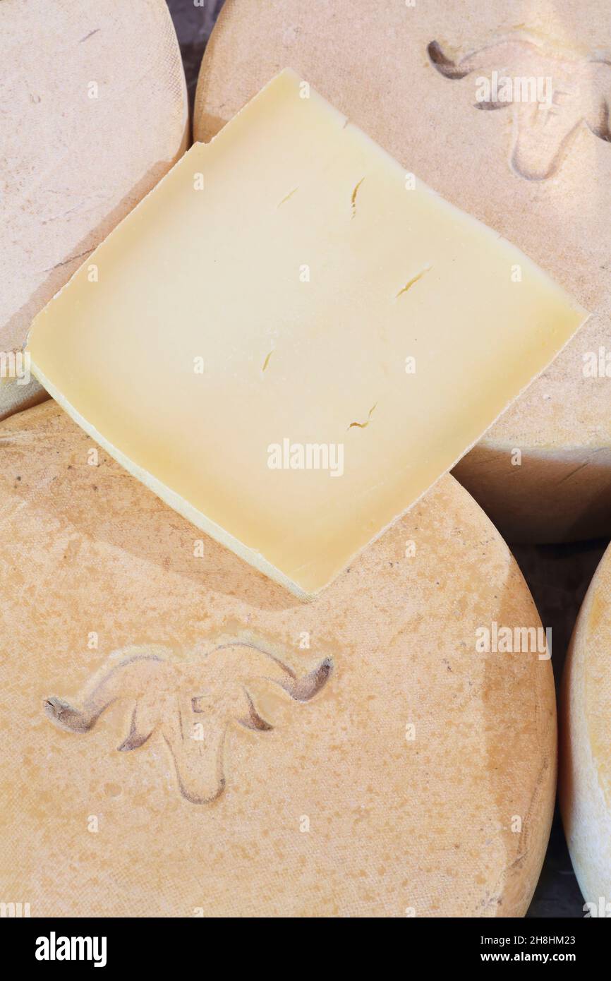 France, Pyrénées Atlantiques, pays Basque, Itxassou, ferme Etxeberria du couple de Cachenau, PDO Ossau fromages d'Iraty (lait de brebis) Banque D'Images
