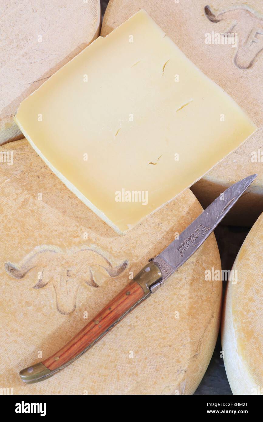 France, Pyrénées Atlantiques, pays Basque, Itxassou, ferme Etxeberria du couple de Cachenau, fromages PDO Ossau Iraty (lait de brebis) et couteau de Laguiole Banque D'Images