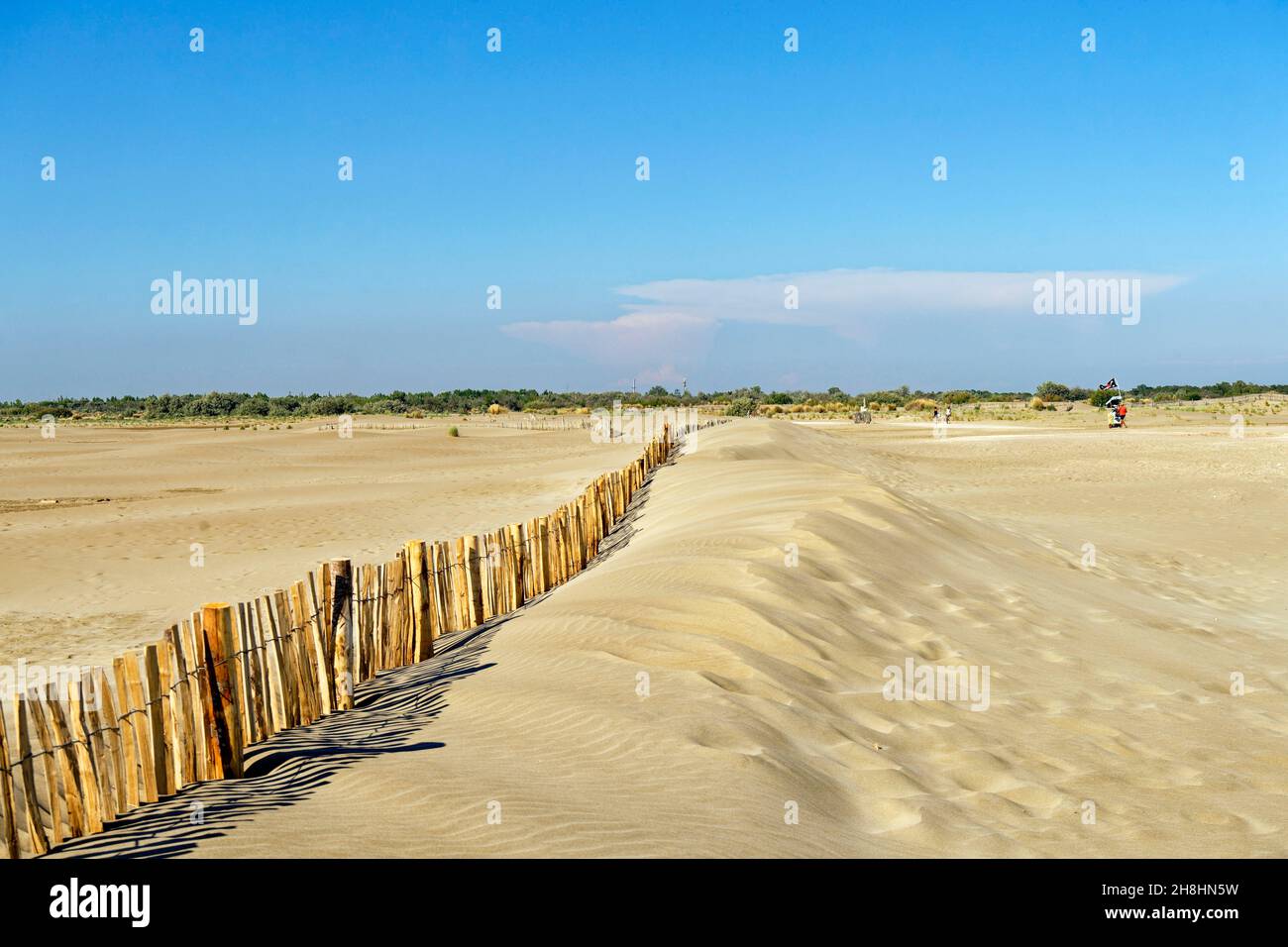 france-gard-camargue-le-grau-du-roi-plage-d-espiguette-zone-de