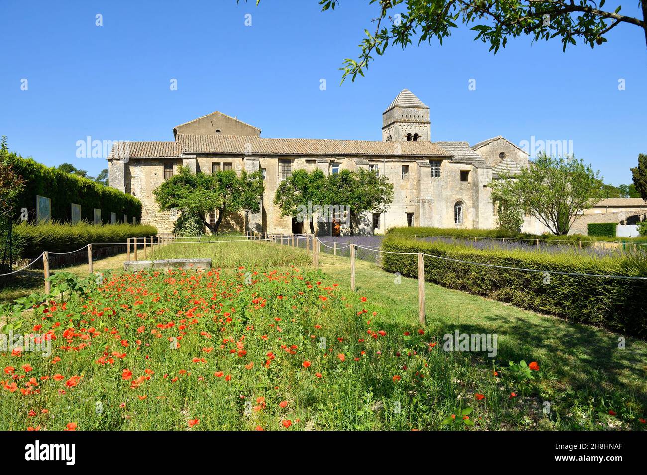 France, Bouches du Rhône, Parc naturel régional des Alpilles, Saint-Rémy-de-Provence, Monastère Saint-Paul-de-Mausole où Van Gogh a vécu en 1889-1890 Banque D'Images