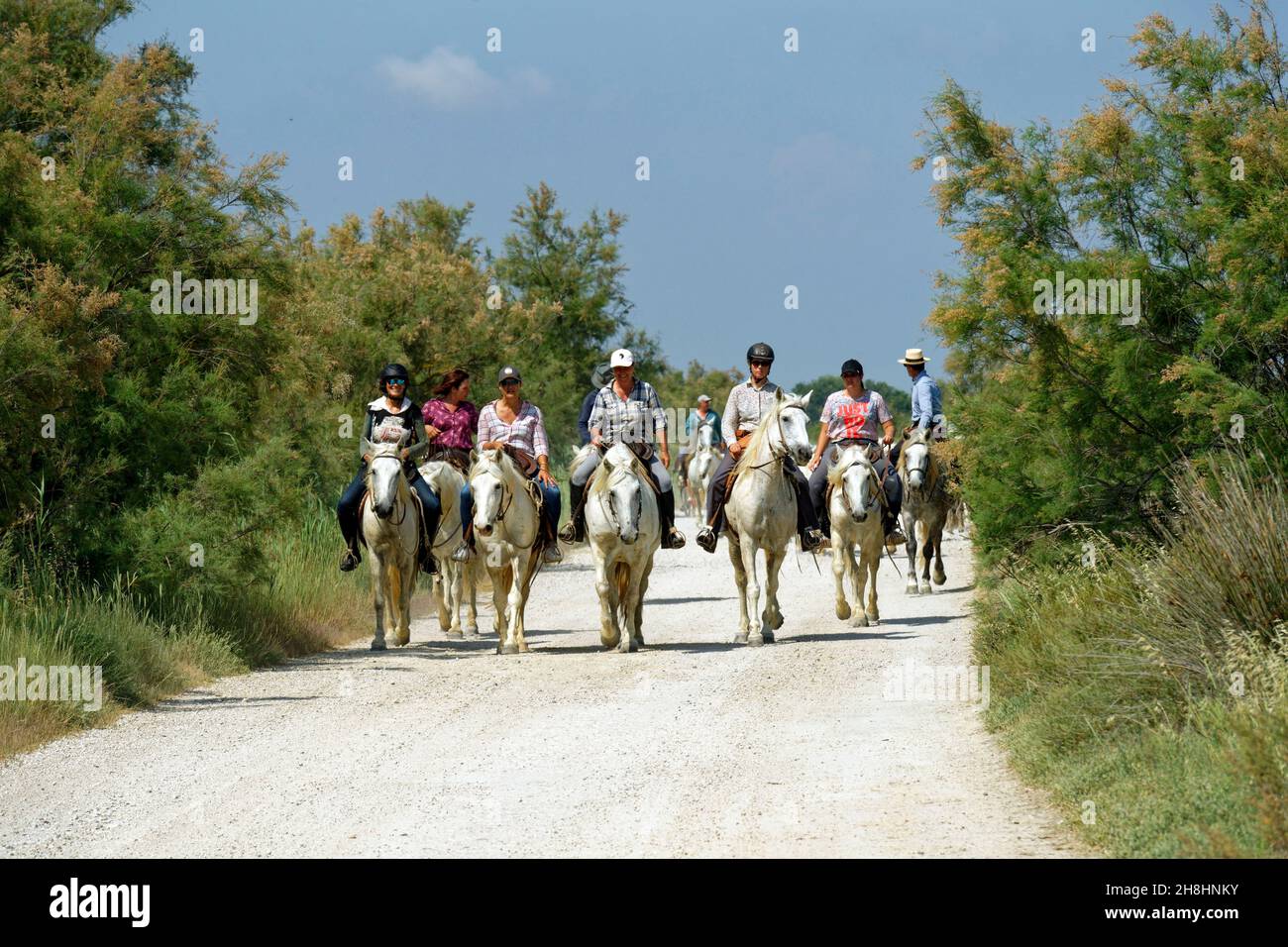 France, Bouches du Rhône, parc naturel régional de Camargue, Saintes Maries  de la Mer, les Cabanes de Cacharel, promenade à cheval Photo Stock - Alamy