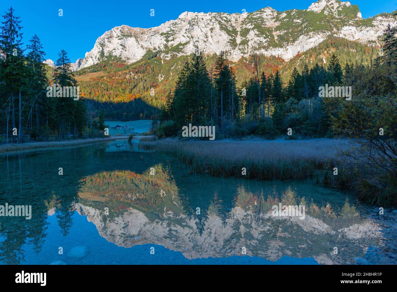 Lac Hintersee au début d'une matinée glacielle en octobre avec ses couleurs d'automne fantastiques, Ramsau près de Berchtesgaden, haute-Bavière, sud de l'Allemagne Banque D'Images