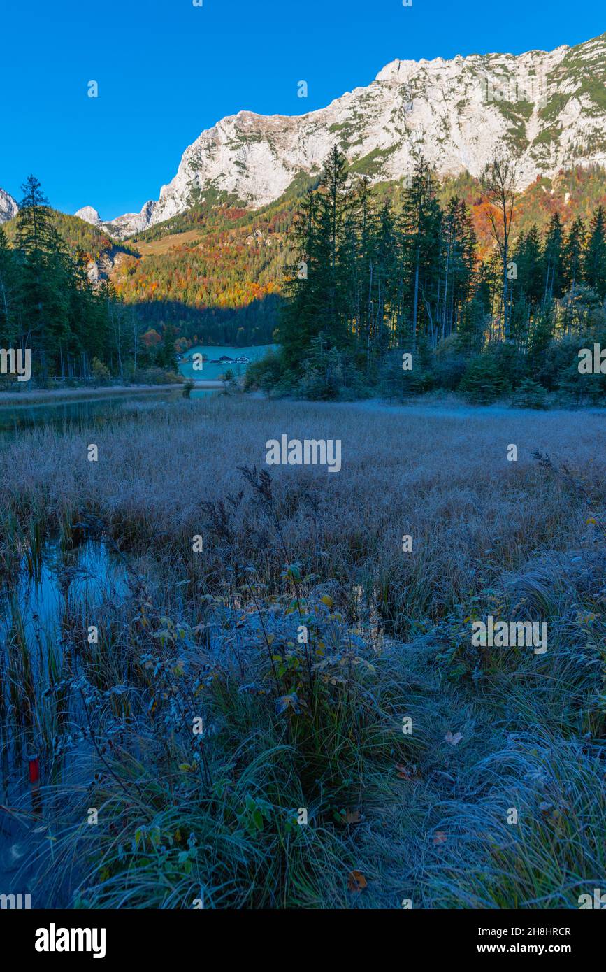 Lac Hintersee au début d'une matinée glacielle en octobre avec ses couleurs d'automne fantastiques, Ramsau près de Berchtesgaden, haute-Bavière, sud de l'Allemagne Banque D'Images