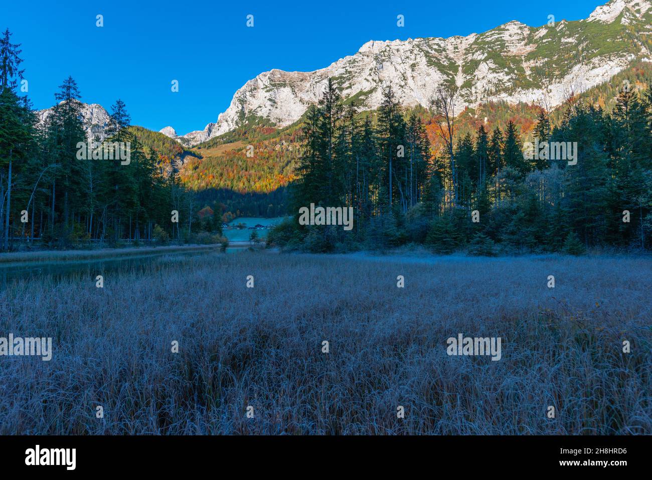 Lac Hintersee au début d'une matinée glacielle en octobre avec ses couleurs d'automne fantastiques, Ramsau près de Berchtesgaden, haute-Bavière, sud de l'Allemagne Banque D'Images