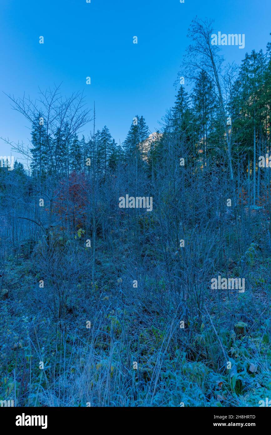 Lac Hintersee au début d'une matinée glacielle en octobre avec ses couleurs d'automne fantastiques, Ramsau près de Berchtesgaden, haute-Bavière, sud de l'Allemagne Banque D'Images