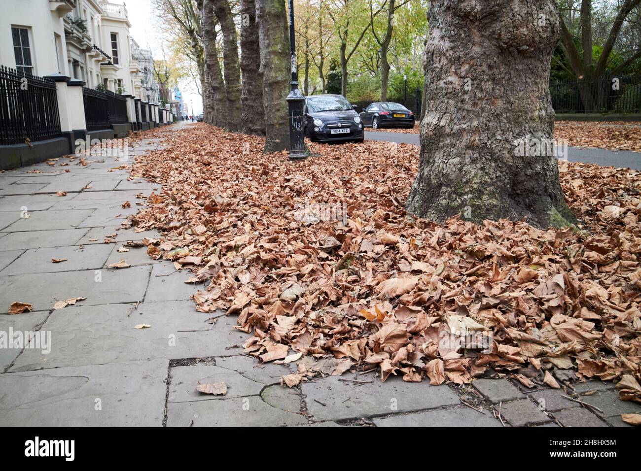 feuilles automnales brunes tombées couvrant la place falkner dans la région géorgienne de liverpool, merseyside, royaume-uni Banque D'Images