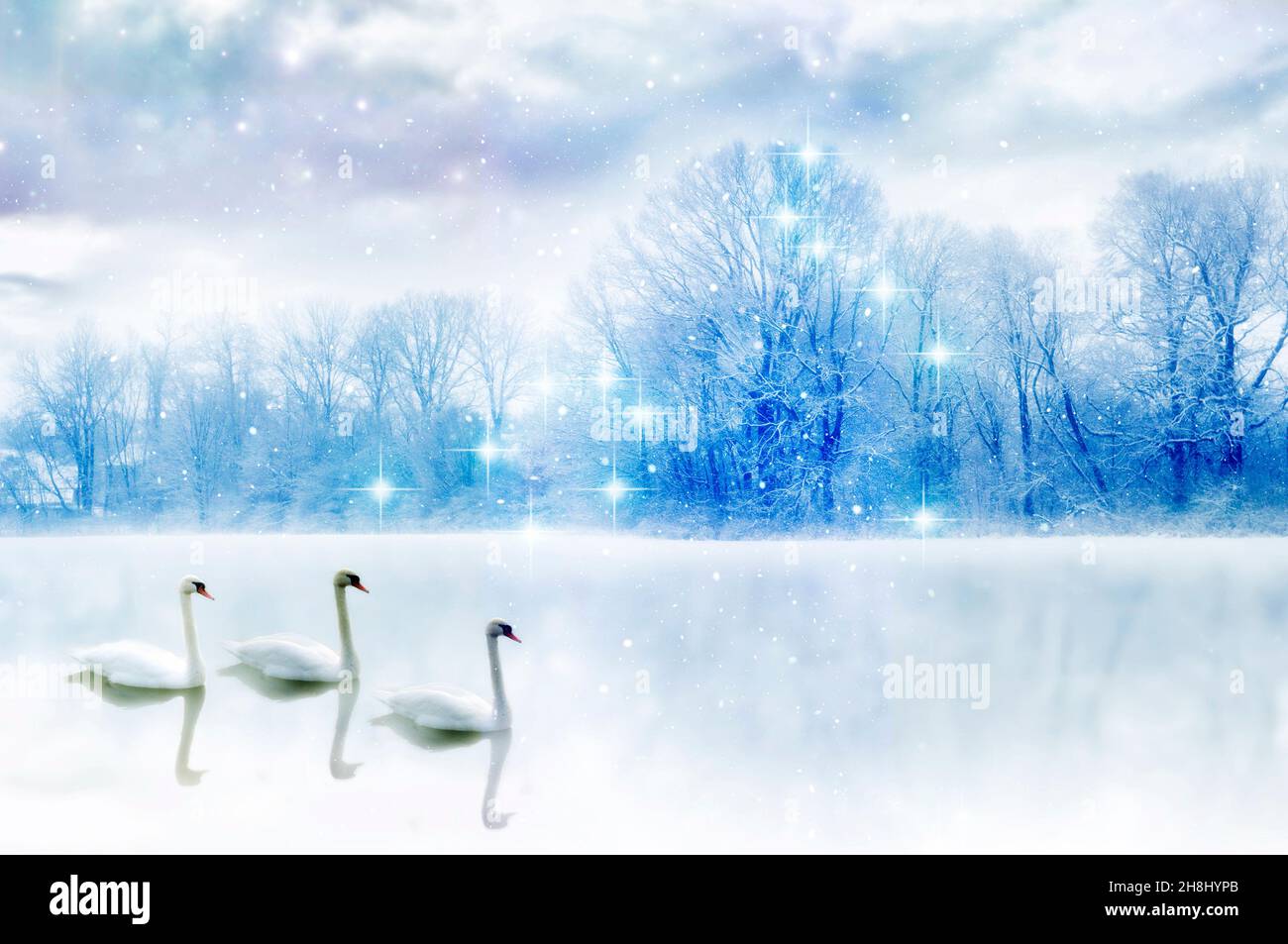 trois beaux cygnes blancs avec paysage romantique d'hiver comme la fantaisie et le concept mystique et de conte de fées rromantique animal Banque D'Images