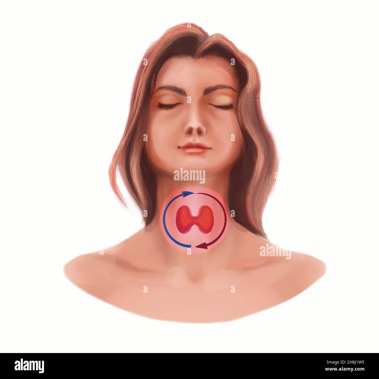 Illustration d'une femme et de la glande thyroïde Banque D'Images