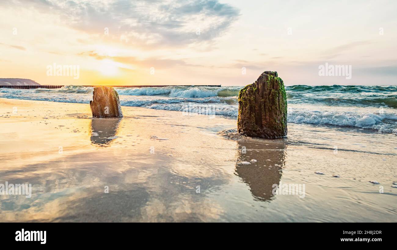 Les restes d'un vieux brise-lames en bois, recouverts de mousse, sur le bord de mer avec des vagues Banque D'Images