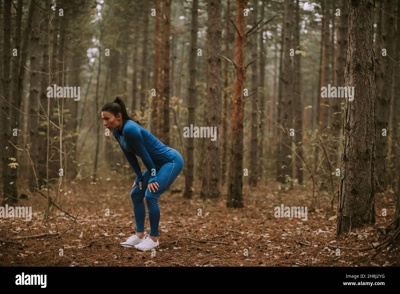 Une jolie jeune femme fait une pause lors d'un exercice en plein air sur le sentier forestier à l'automne Banque D'Images