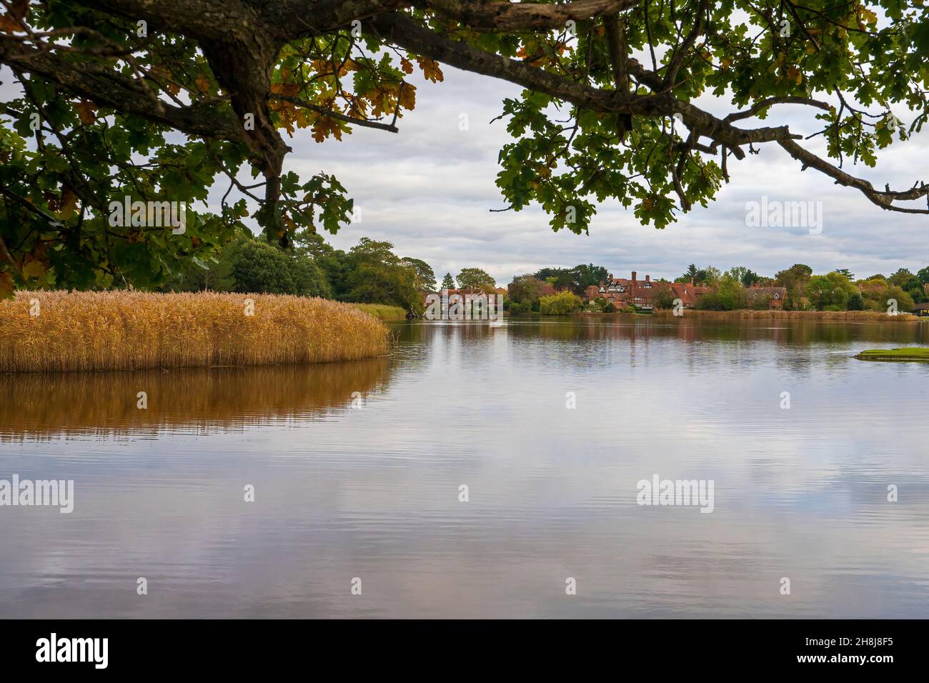 Beaulieu Mill Pond and village, Beaulieu, New Forest National Park, Hampshire, Angleterre, Royaume-Uni Banque D'Images