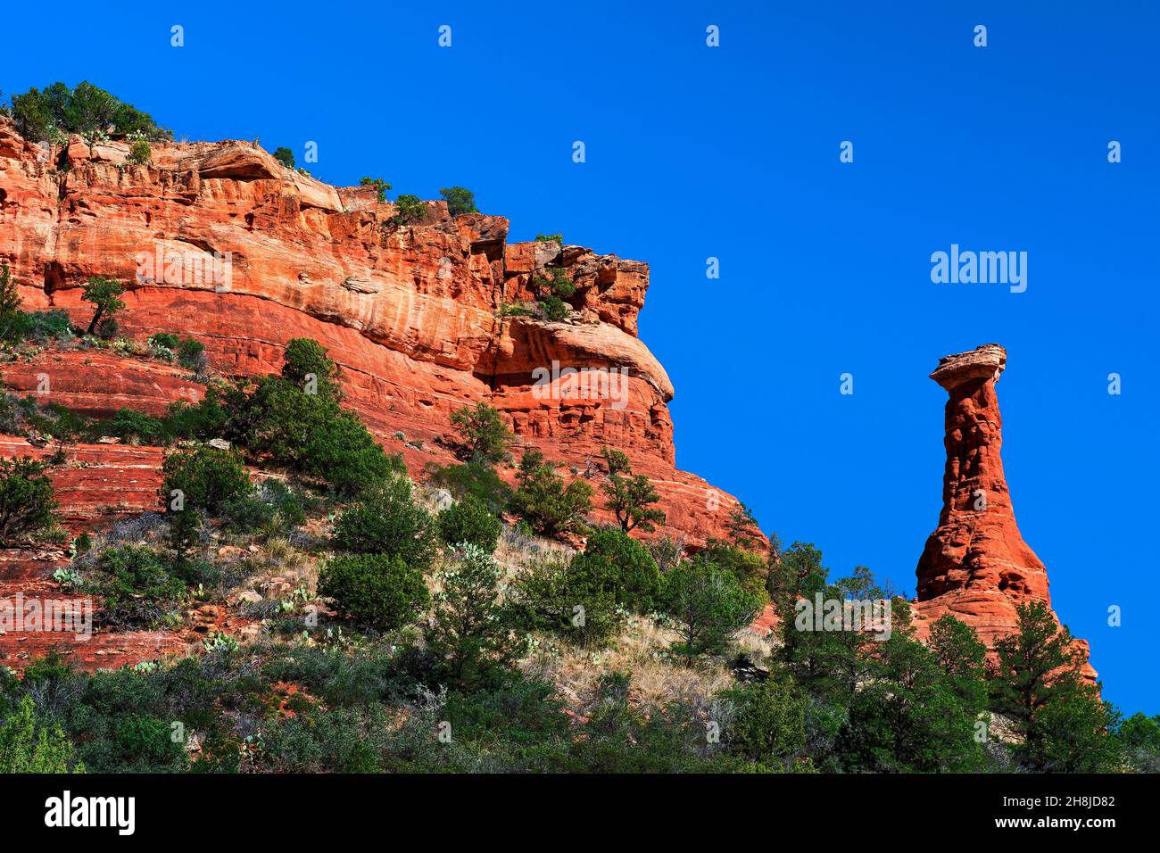 Boynton Canyon, forêt nationale de Coconino, Sedona, Arizona Banque D'Images