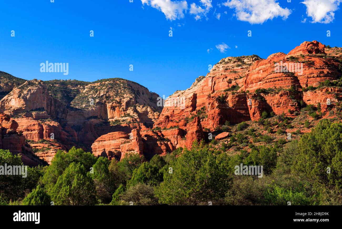 Boynton Canyon, forêt nationale de Coconino, Sedona, Arizona Banque D'Images