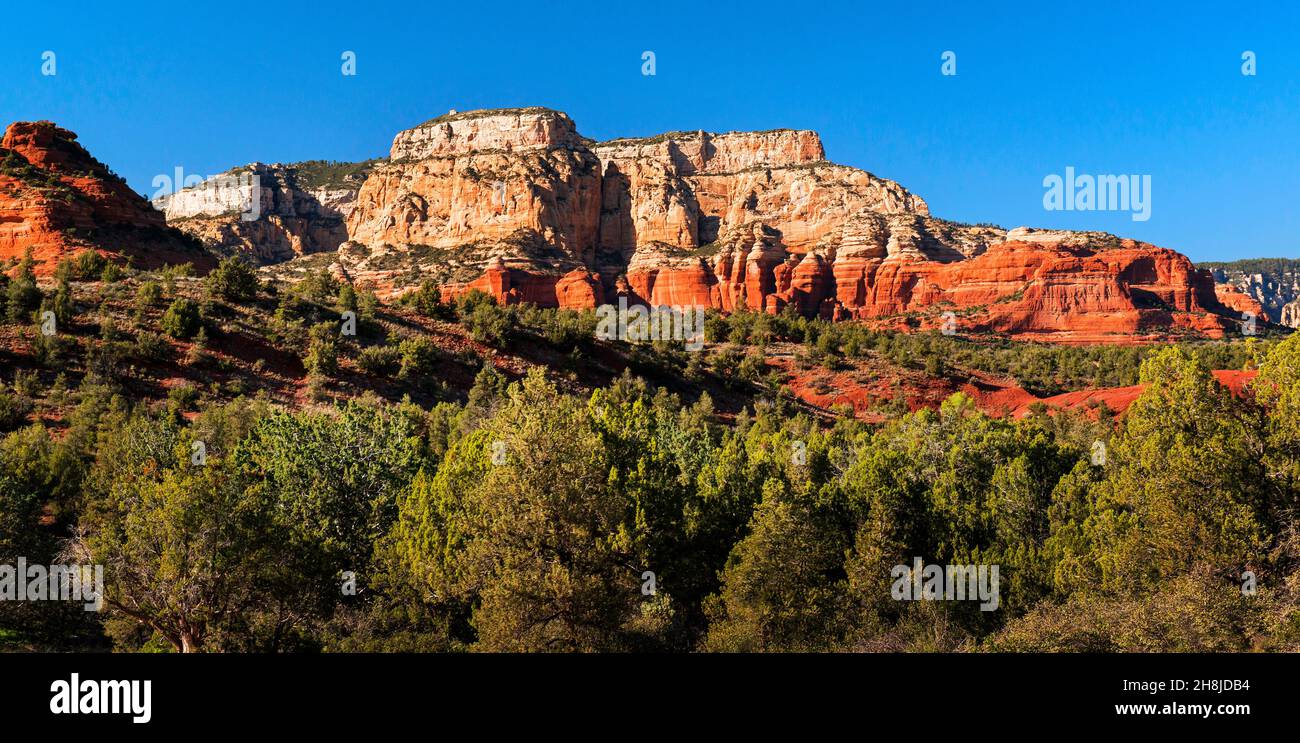 Boynton Canyon, forêt nationale de Coconino, Sedona, Arizona Banque D'Images