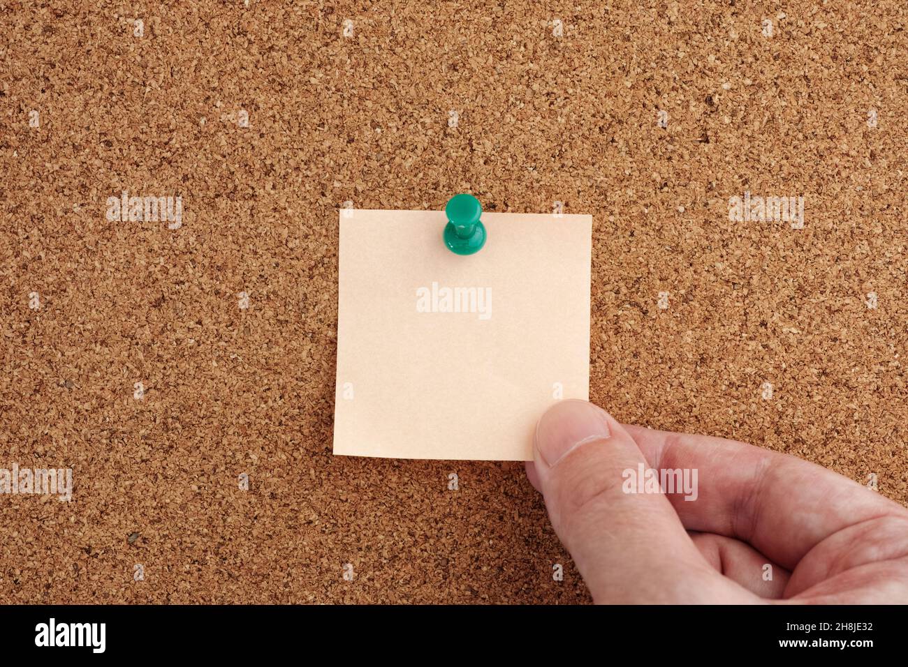 Homme tenant une note autocollante vierge épinglée à un tableau de bord.Gros plan. Banque D'Images
