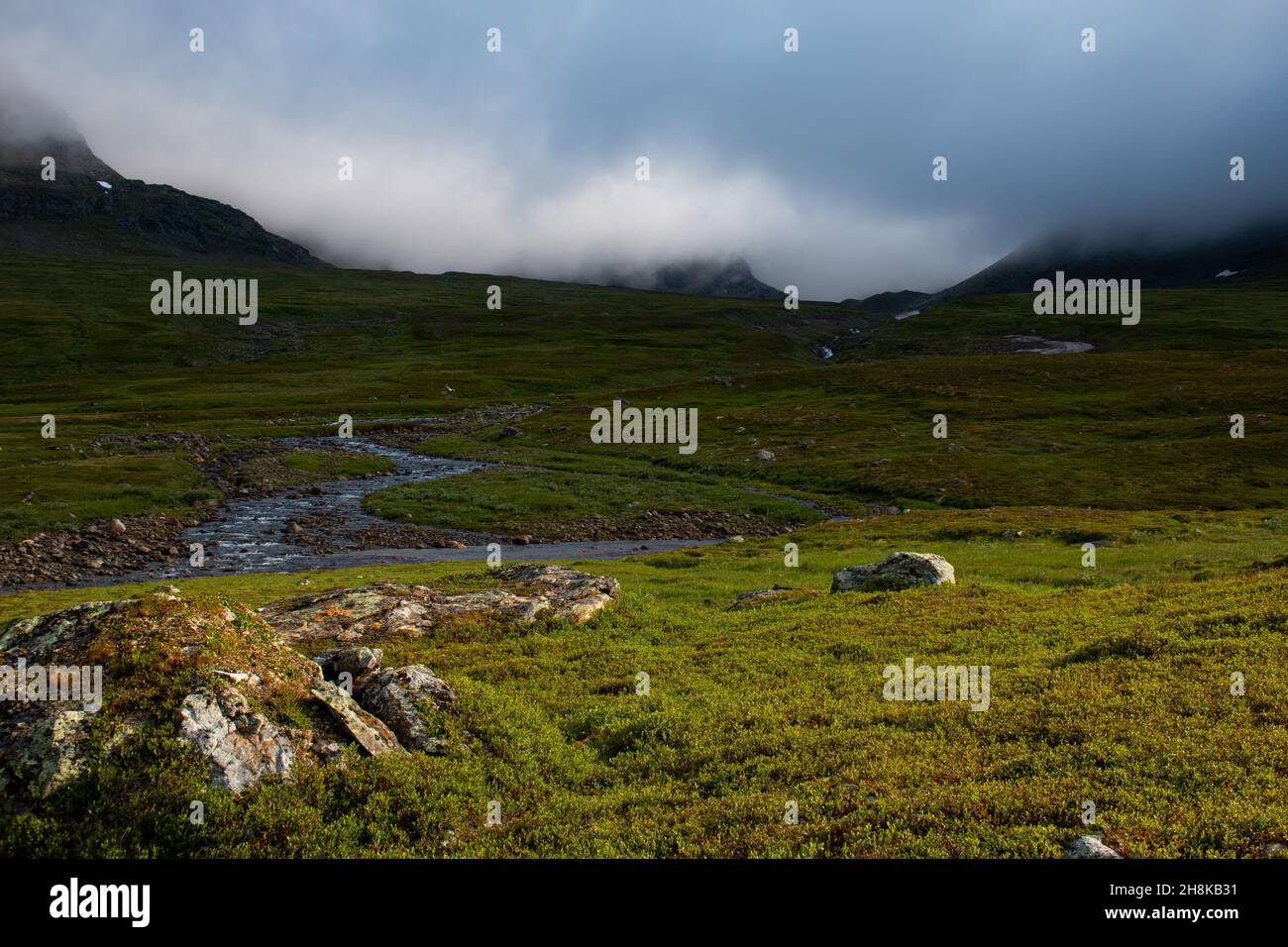 Montagnes autour de la cabane Viterskalet sur la partie sud du sentier de randonnée de Kungsleden, magnifique Laponie, Suède, août 2021 Banque D'Images