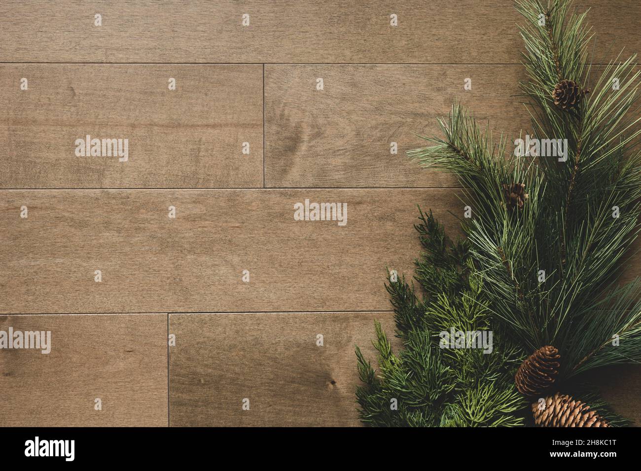 Bordure de branche isolée de pin de Noël sur fond de bois rustique avec espace de copie Banque D'Images