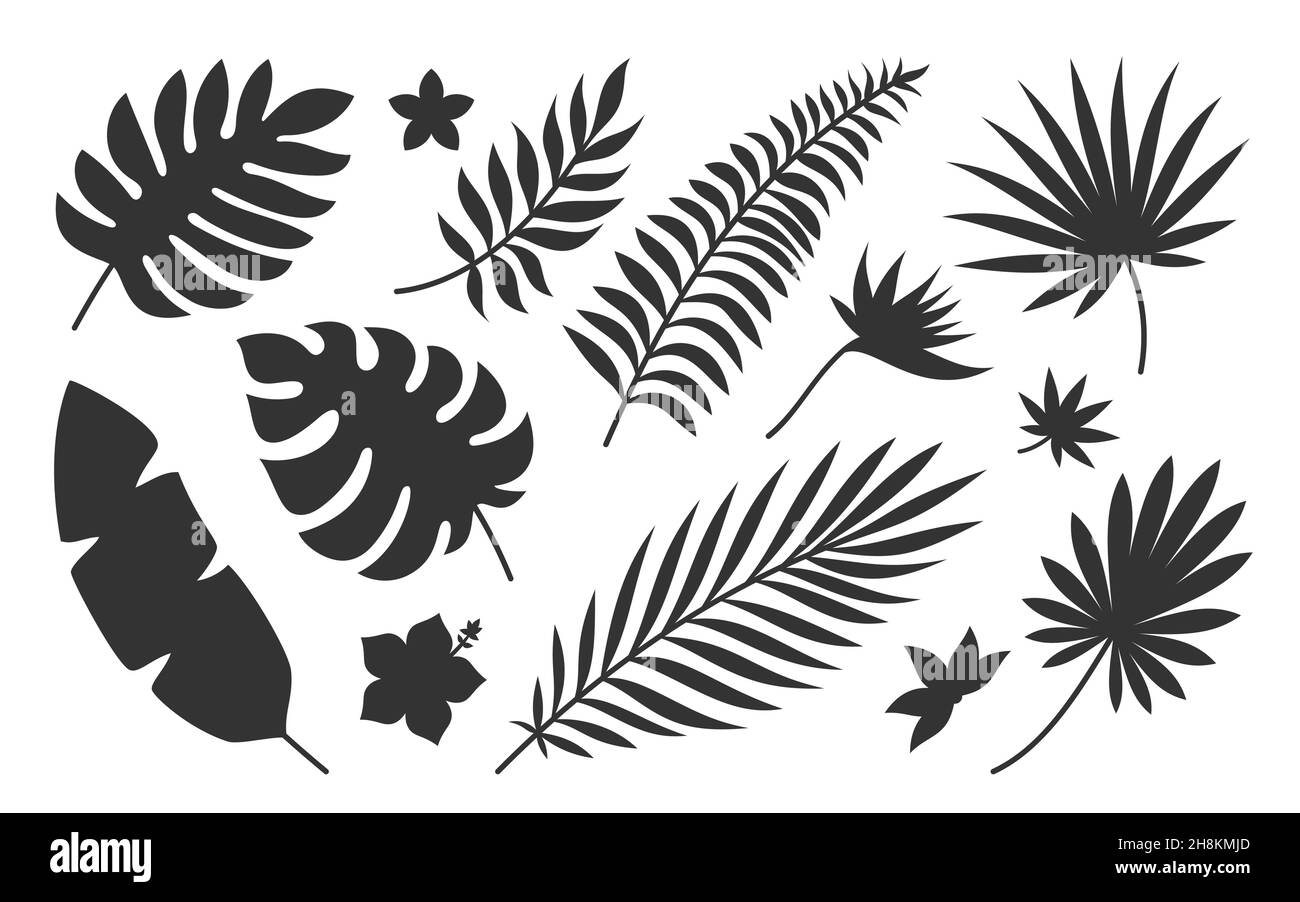 Ensemble de silhouette noire de plante de fleur de feuille tropicale.Timbre botanique tatouage empreinte badge motif tissu cosmétique site spa.Branche de palmier oiseau exotique paradis fleur hibiscus plumeria isolé sur blanc Illustration de Vecteur