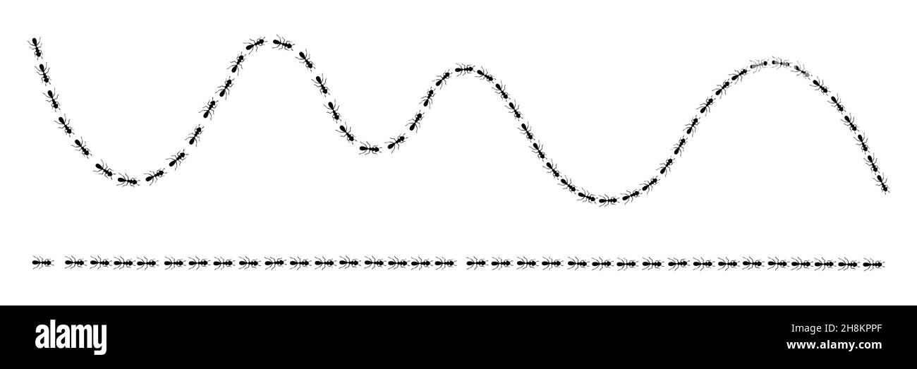 Des fourmis qui marchent sur la piste à la recherche de nourriture.Chemin ANT isolé sur fond blanc.Illustration vectorielle Illustration de Vecteur