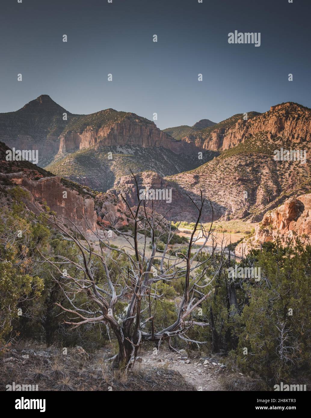 Photo de paysage sur un fond de mur de pierre dans le terrain de camping Echo Park, Dinosaur Nation Monument, Utah et Colorado, Etats-Unis Banque D'Images