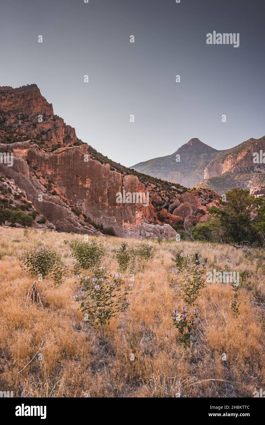 Photo de paysage sur un fond de mur de pierre dans le terrain de camping Echo Park, Dinosaur Nation Monument, Utah et Colorado, Etats-Unis Banque D'Images