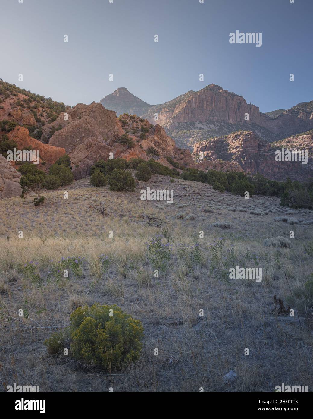 Photo de paysage sur un fond de mur de pierre dans le terrain de camping Echo Park, Dinosaur Nation Monument, Utah et Colorado, Etats-Unis Banque D'Images