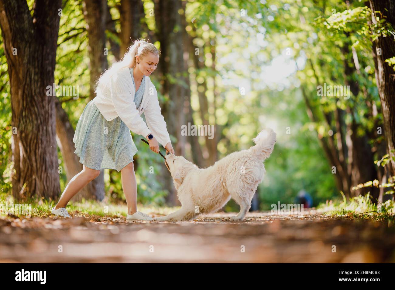 Bonne marche avec votre animal de compagnie bien-aimé dans la forêt d'automne.Une jeune femme habillée joue avec Labrodor Golden Retriever. Banque D'Images