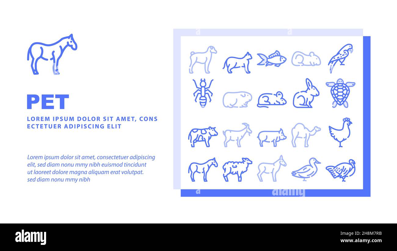 Animaux domestiques, ferme et mer Aqua Landing en-tête vecteur Illustration de Vecteur