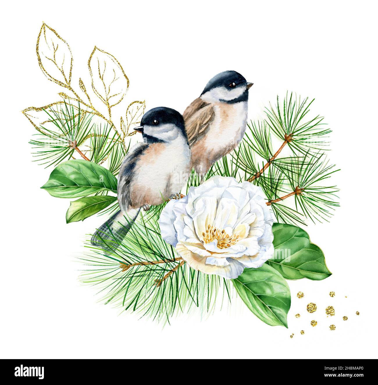 Oiseaux aquarelles sur bouquet de roses blanches.Carte postale de Noël avec pin, deux perches et papier doré à paillettes.Illustration florale botanique pour Banque D'Images