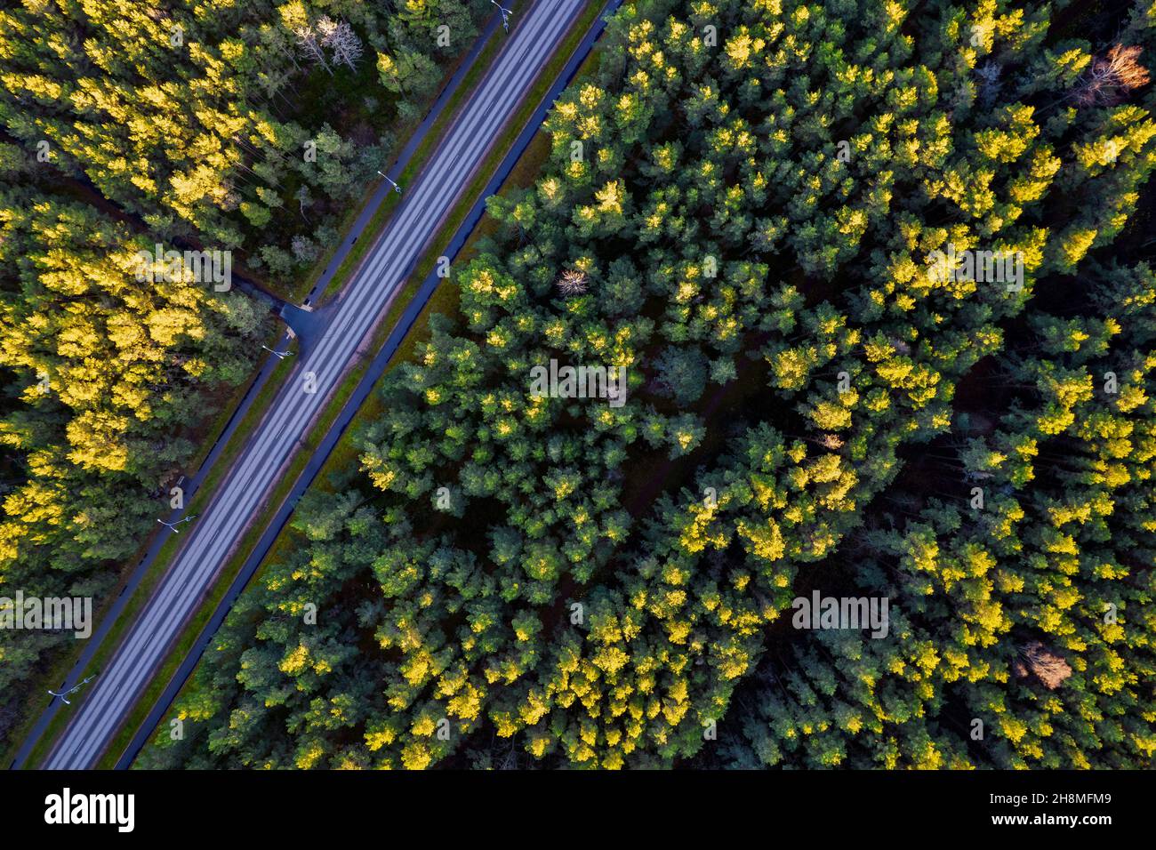 Vue aérienne depuis un drone d'une route en béton qui traverse des forêts denses d'automne et des bosquets de couleurs jaune-vert.Arbres en période dorée et autoroute vide en automne.Chaussée parmi les arbres colorés Banque D'Images