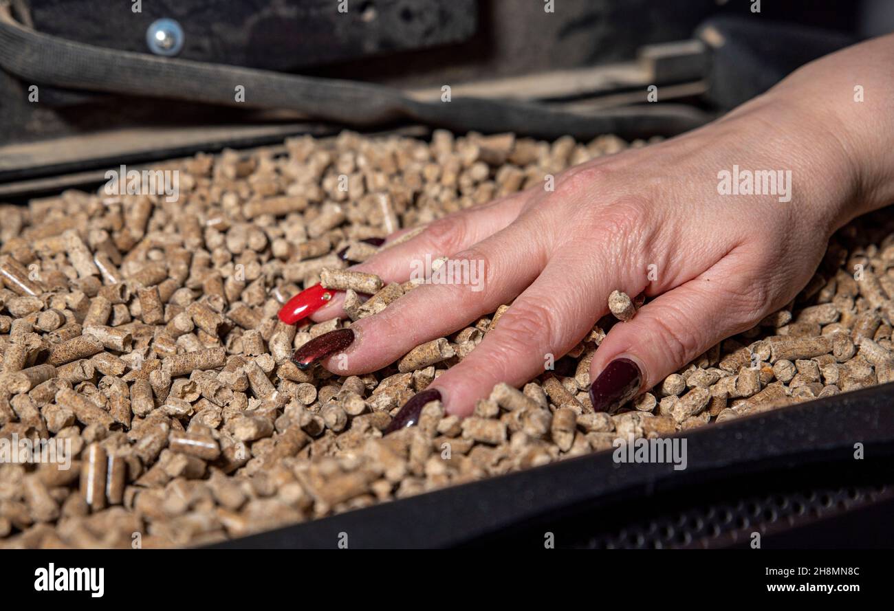 la main de la femme touche les pellets dans le compartiment de la cuisinière Banque D'Images