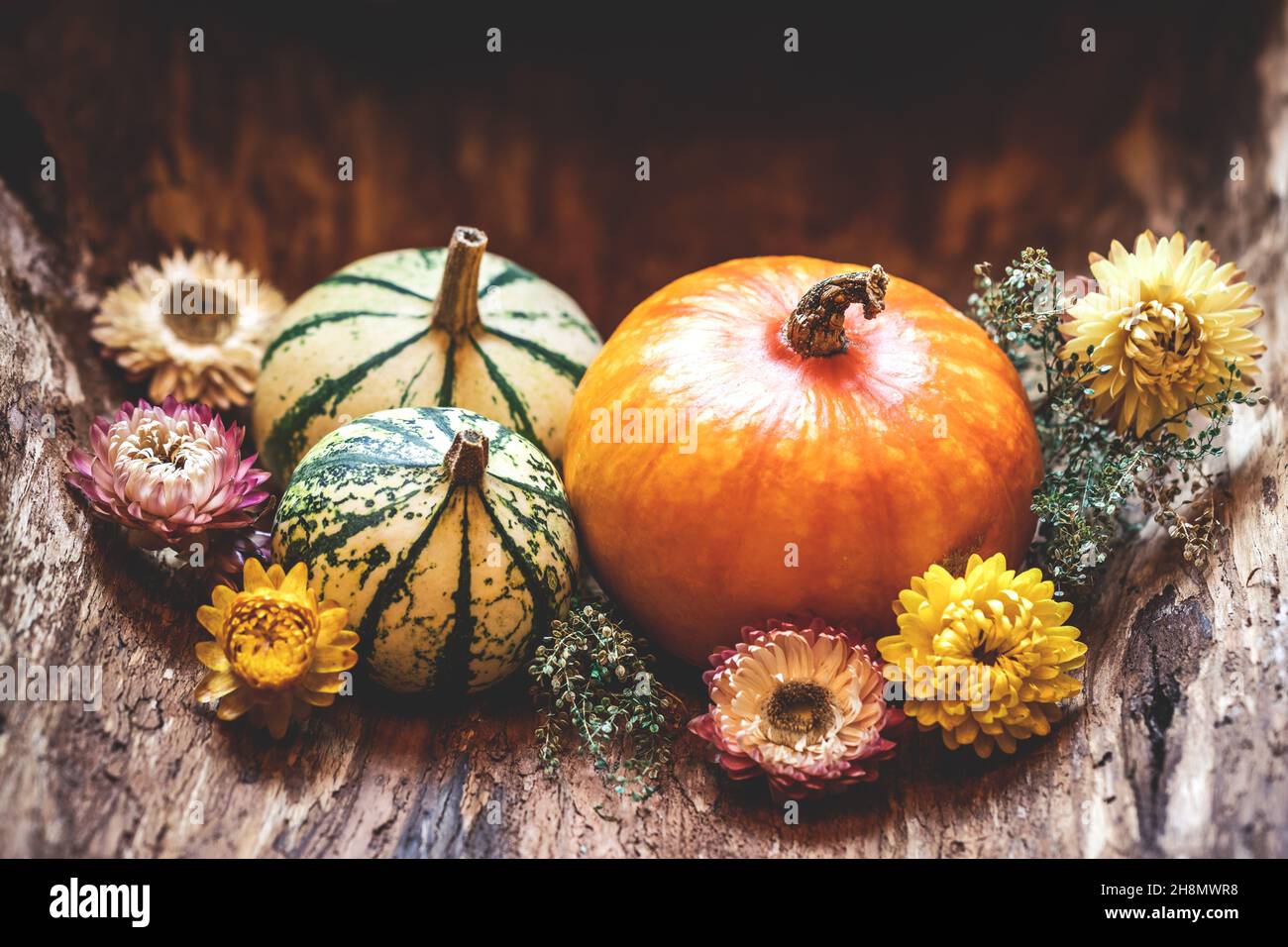 Jour de Thanksgiving, accueil d'automne.Concept de la saison d'automne STILL Life.Citrouilles et fleurs séchées.Fête de la récolte d'automne Banque D'Images
