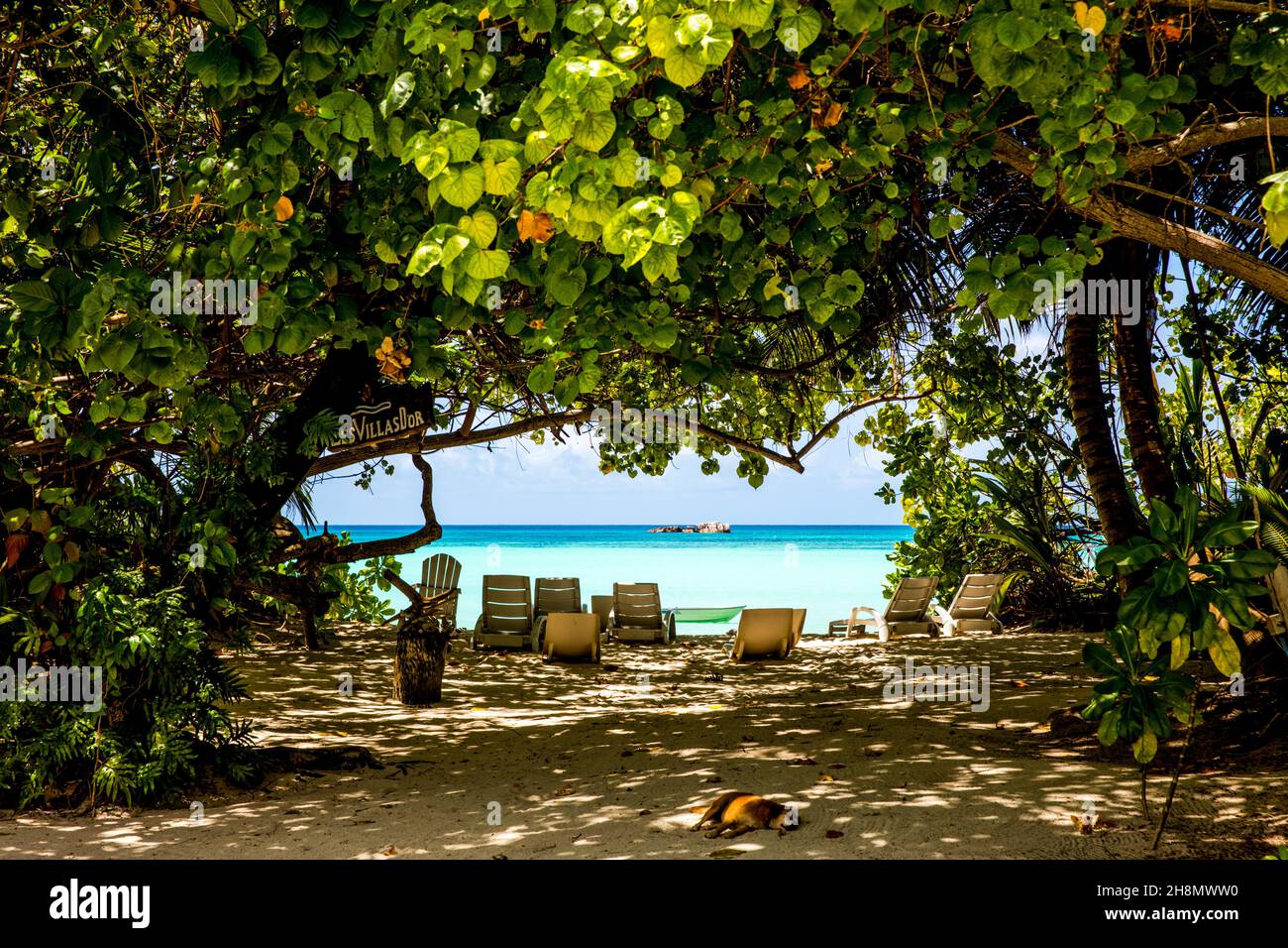 Plage de rêve, Côte d'Or, Praslin, Seychelles, Praslin,Seychelles Banque D'Images