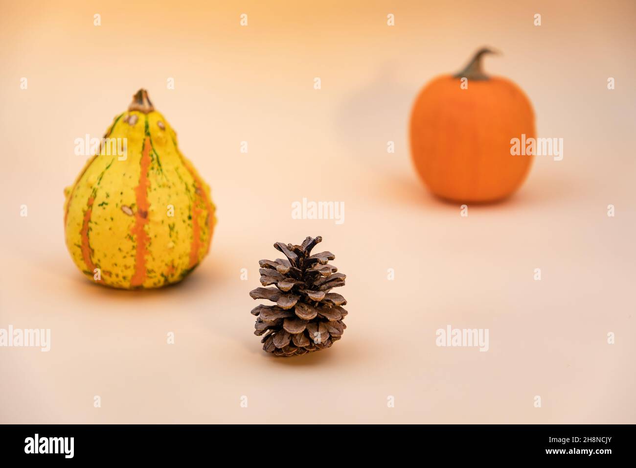 Image avec foyer sélectif de deux citrouilles et d'un cône ligneux Banque D'Images