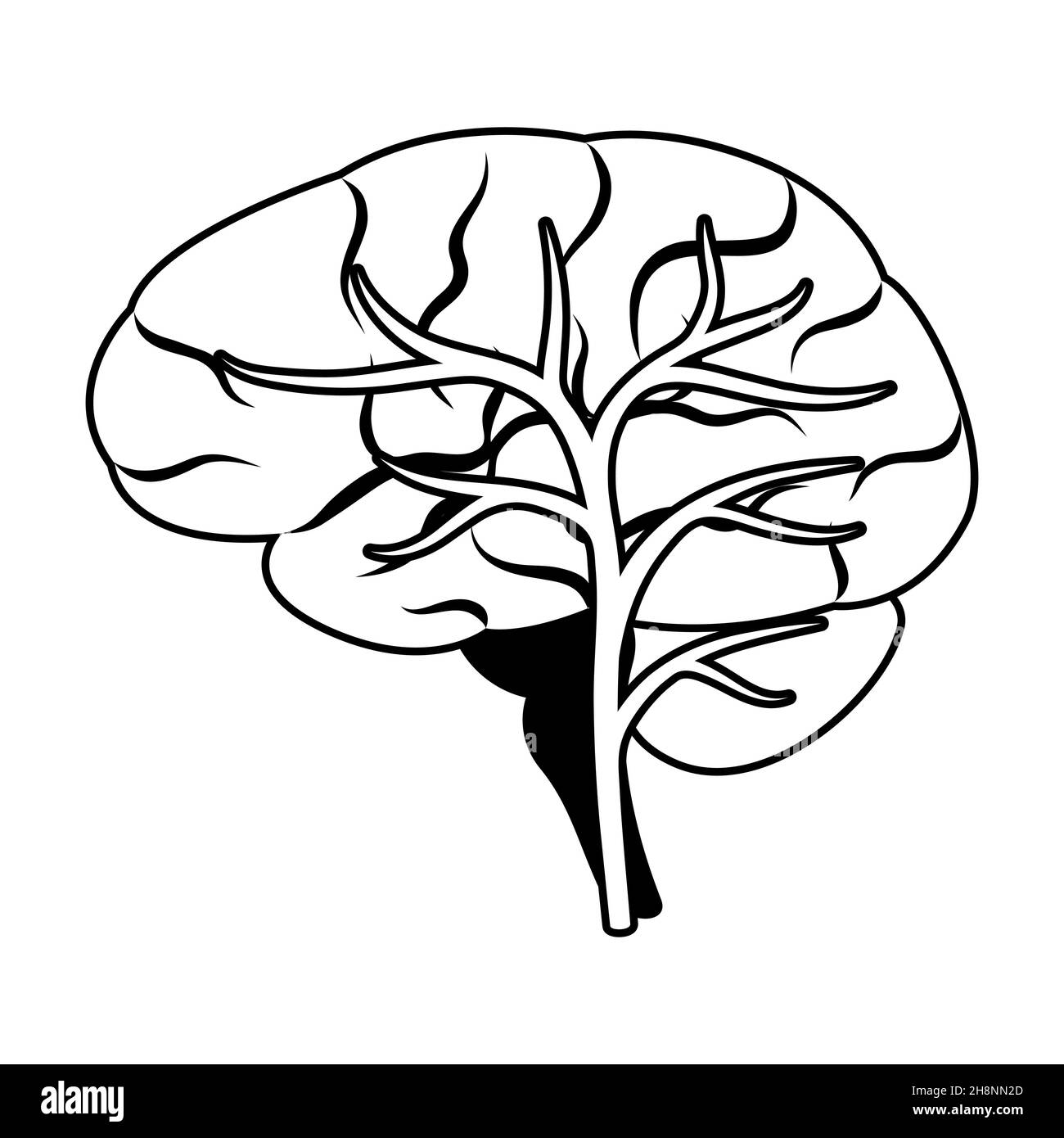 Illustration de l'organe interne du cerveau.Anatomie du corps humain.Icône des soins de santé et de la médecine. Illustration de Vecteur