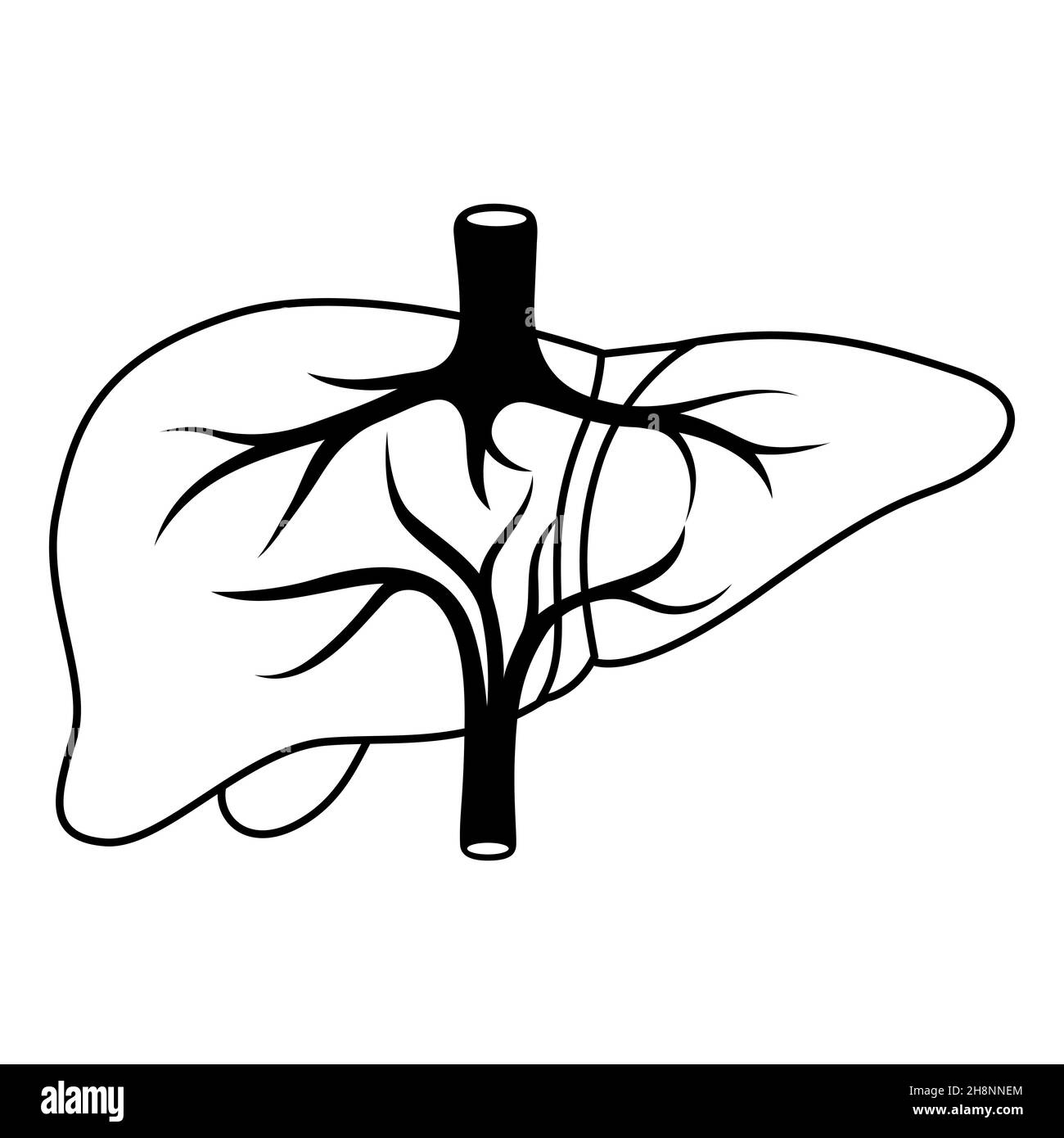 Illustration de l'organe interne du foie.Anatomie du corps humain.Icône des soins de santé et de la médecine. Illustration de Vecteur