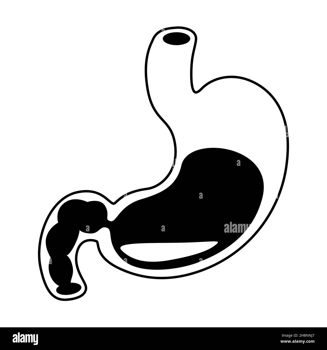 Illustration de l'organe interne de l'estomac.Anatomie du corps humain.Icône des soins de santé et de la médecine. Illustration de Vecteur