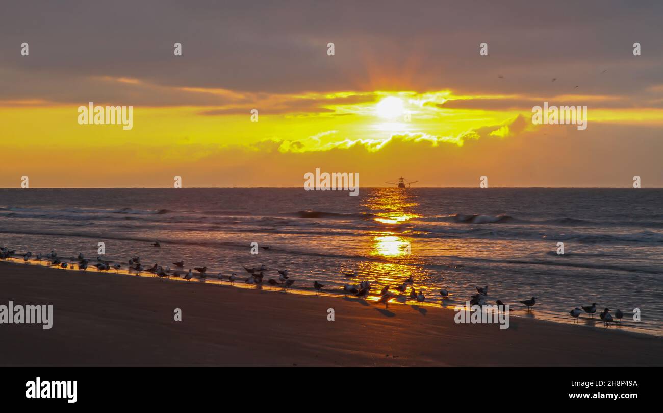 Le soleil se brise à travers une banque de nuages au lever du soleil sur l'île de Kiawah, en Caroline du Sud, avec un public de mouettes et un bateau à crevettes. Banque D'Images
