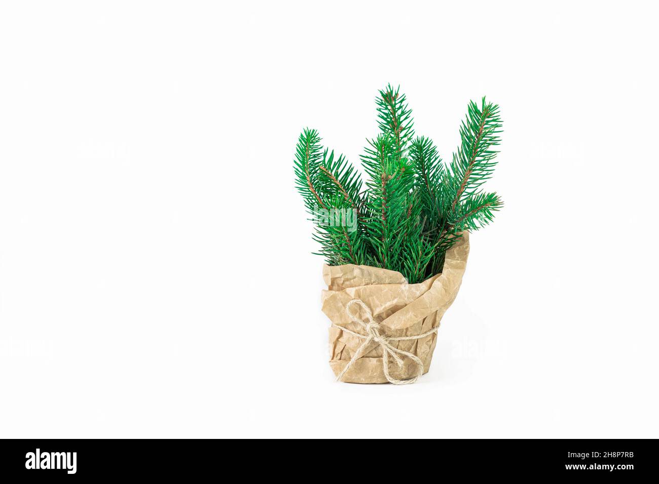 petit sapin naturel dans un pot enveloppé de papier artisanal sur fond blanc avec espace de copie.Petit arbre de Noël non décoré sur fond blanc. Banque D'Images