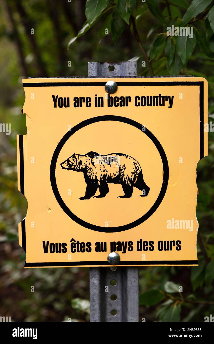 Signez un avertissement à l'égard des ours qui se trouvent à un point de départ dans le parc national et la réserve Kluane, au Yukon, au Canada. Banque D'Images