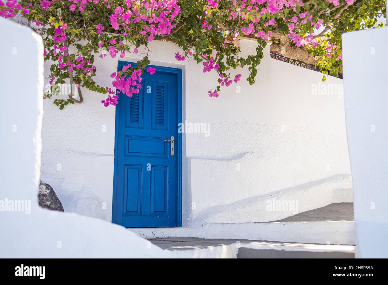 Entrée d'une architecture typique des cyclades blancs, maison avec porte bleue et bougainvilliers rose en pleine floraison sur l'île de Santorini en Grèce. Inspirer Banque D'Images