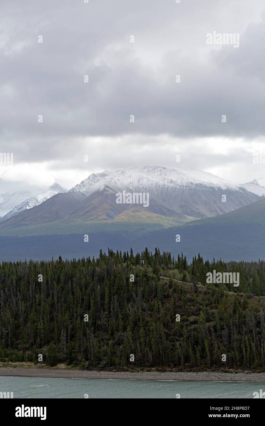Les montagnes enneigées s'élèvent au-dessus de la forêt dans le parc national et la réserve Kluane au Yukon, au Canada.La forêt se trouve sur la rive du lac Kluane. Banque D'Images