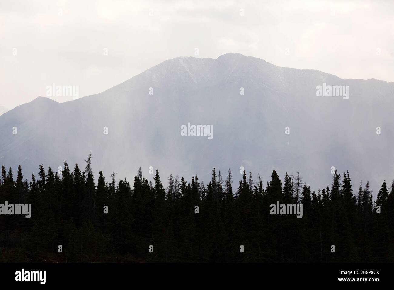 Les montagnes s'élèvent au-dessus de la forêt dense dans le parc national et la réserve Kluane au Yukon, au Canada. Banque D'Images