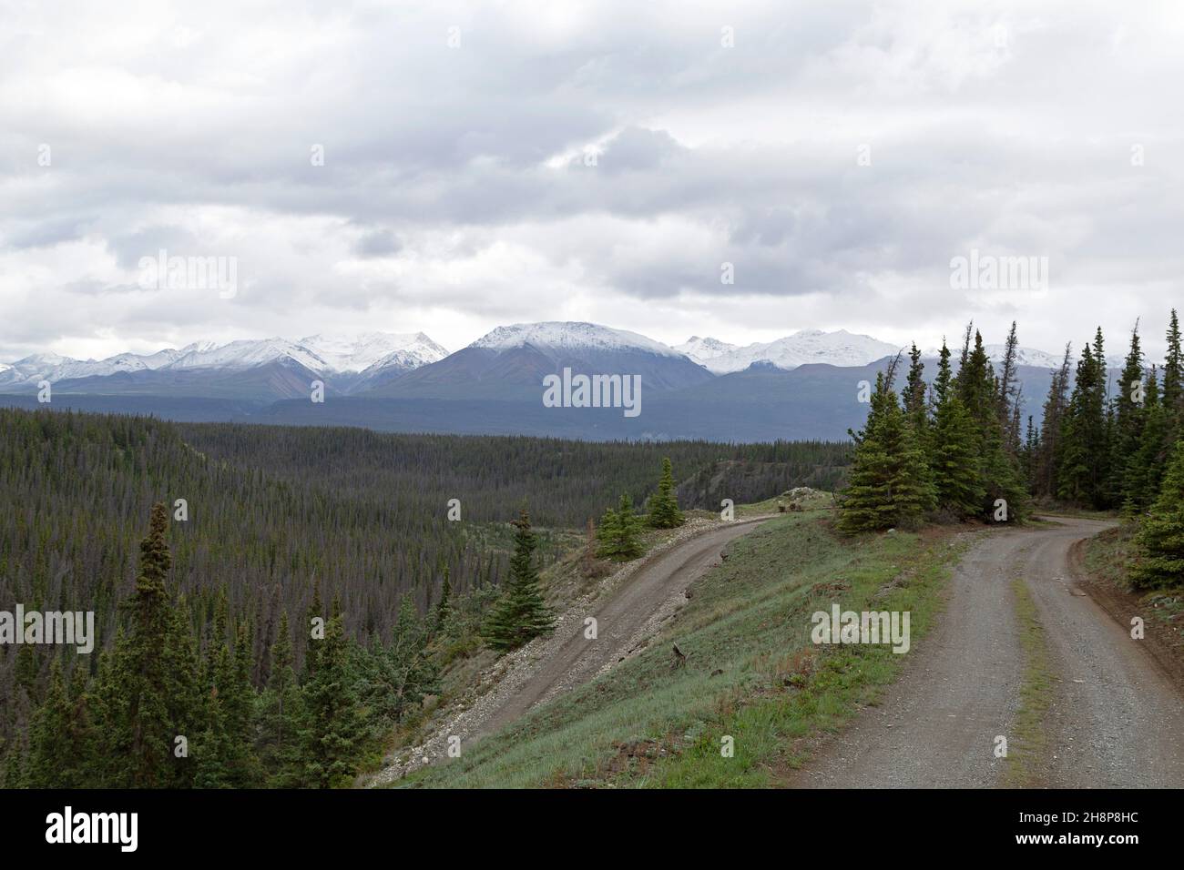 Route de gravier au Yukon, Canada.Ils ont coupé à travers les bois denses. Banque D'Images