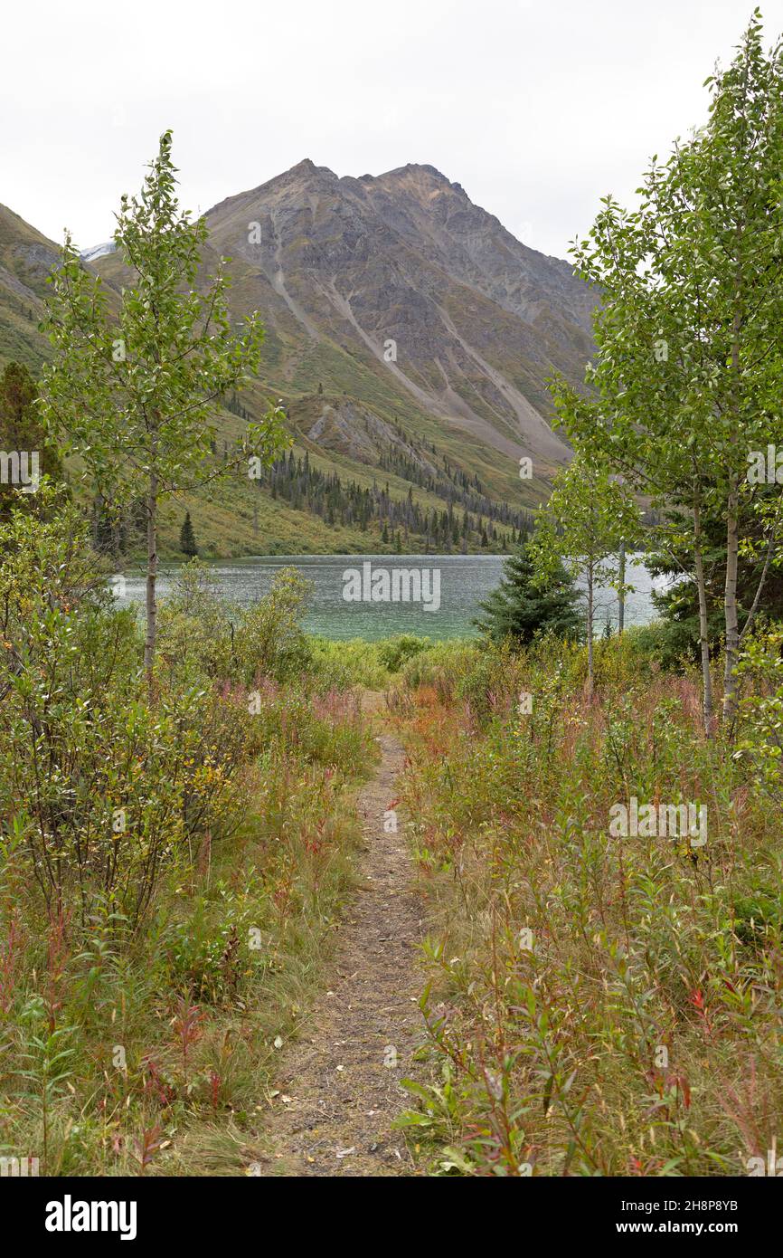 Sentier de randonnée pédestre dans le parc national et réserve Kluane au Yukon, Canada. Banque D'Images