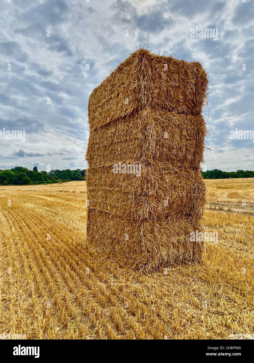 Pile de foin mis en balles Banque D'Images