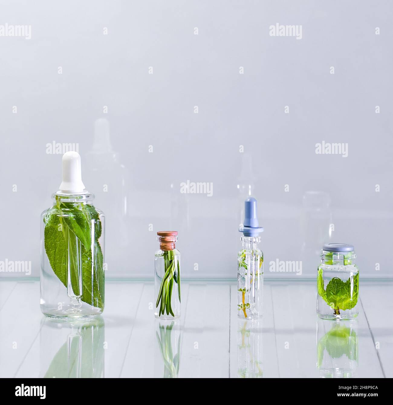 Flacons en verre avec extraits de plantes dans des liquides clairs.Quatre flacons d'une rangée sur un fond clair. Banque D'Images